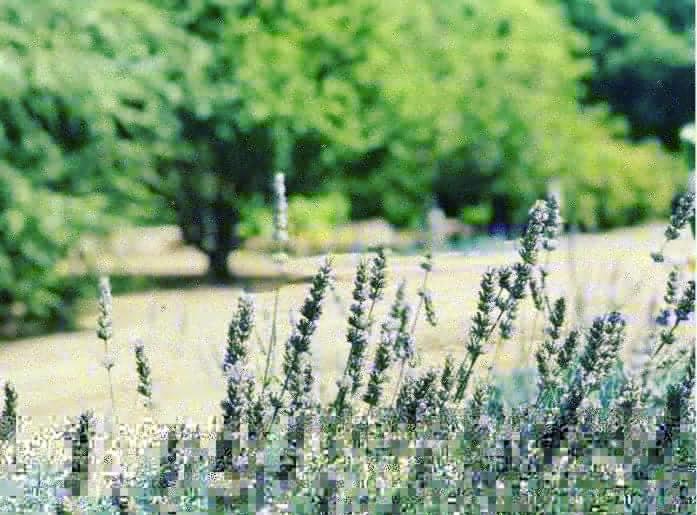 Beautiful Pigeonnier With Sensational Surroundings *